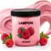 Lamponi